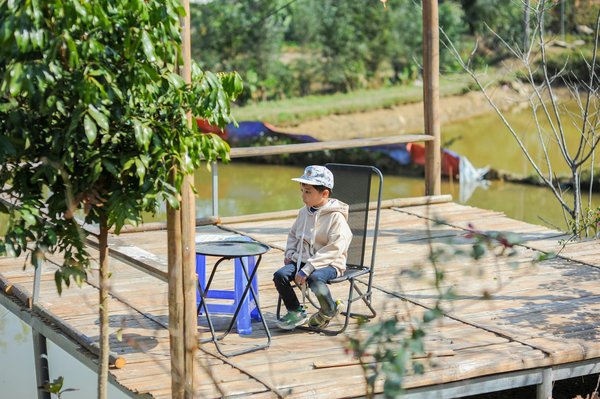 Quel équipement pour un festival de musique en plein air?