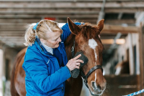 Des soins avancés pour chevaux : plaisir d'utiliser Equibel